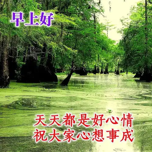  冬天清晨日常问候图片分享早上好最暖心的问候祝福图片