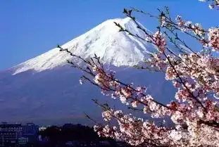 吃喝玩乐在日本丨枕梦流年和风旅行  吃喝玩乐在日本丨枕梦流年和风旅行