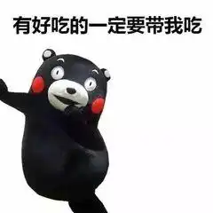 搞笑的表情包图片 微信
