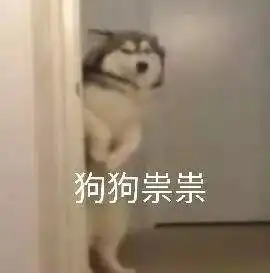 真人试穿1件t恤的n种穿法,美炸了