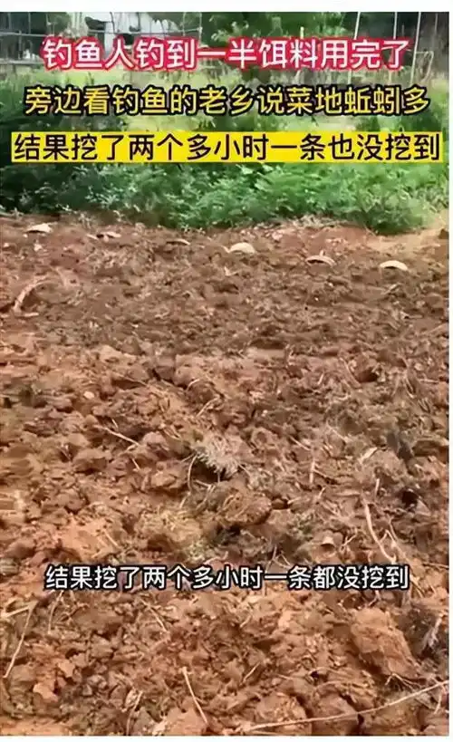 搞笑图片幽默段子笑话求佛的正确方式  搞笑图片幽默段子笑话求佛的正确方式