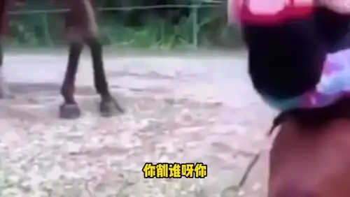  爆笑新型燃料诞生,汗脚也能充当煤气罐,看呕了