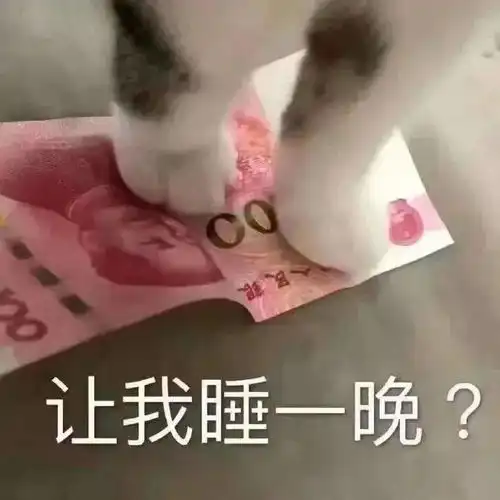  可爱沙雕搞笑表情包快乐回来了