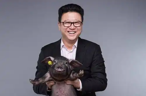  网易味央第二座猪场落户江西高安年产15万头黑猪