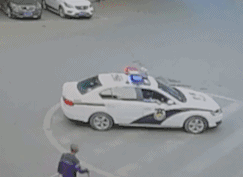  单身太久习惯了有个媳妇都忘了