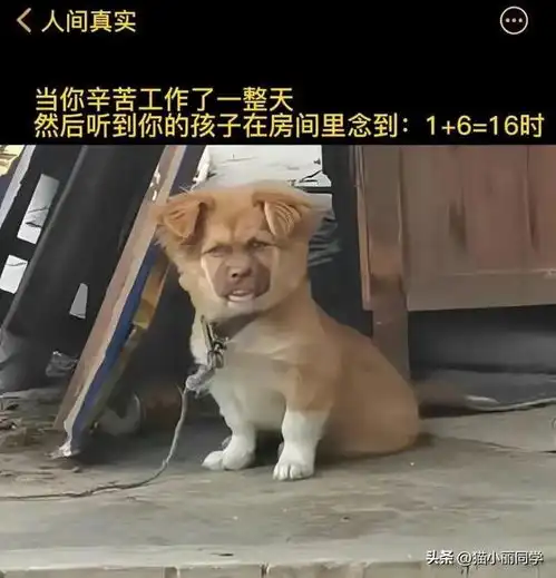  爆笑图集这兄弟肯定是老驾驶员了,要不然也不敢开这车上路啊