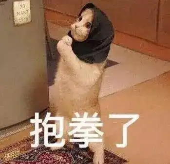  一年青春路咱们局里的杜拉拉