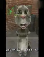  搞笑tom猫