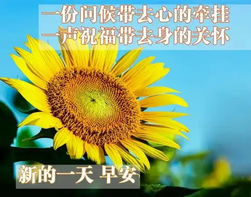  8张特别好看的早上好风景图片带字带祝福语免打字聊天的早安问候祝福语图片