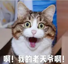  兰博基尼只卖1.5万知道真相的我哈哈哈哈哈