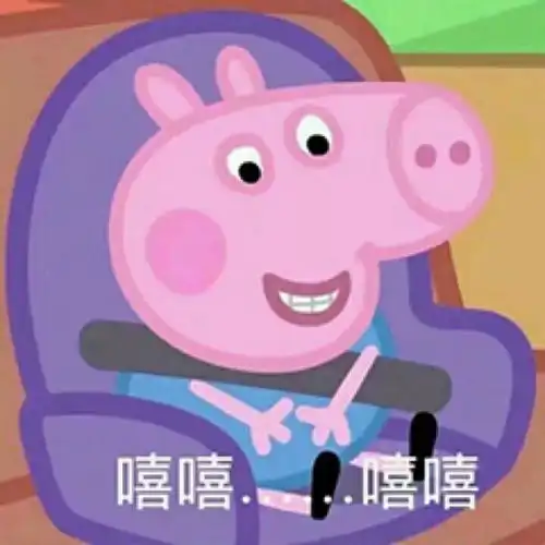 套路表情包一套猪小猪佩