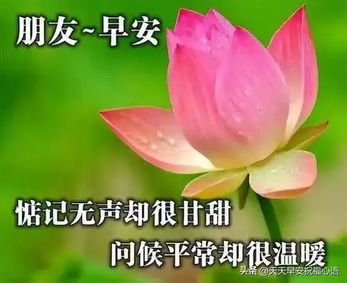  早上好愿清晨的问候如清凉的秋风,祝君快乐,开心每一天