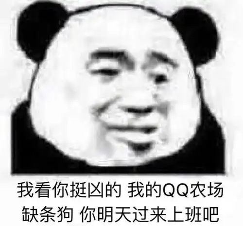  表情包要找对象冲我来