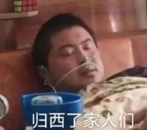  丽丽表情包家人们到位了