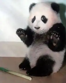  别赖我,真不是我干的