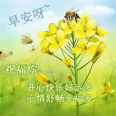  2023最新早晨好早上好漂亮问候祝福图片头像