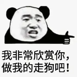  抖音表情包大全丨现在有三头猪正在对视