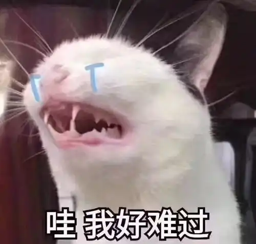  别问我吃什么,我今天真吃土