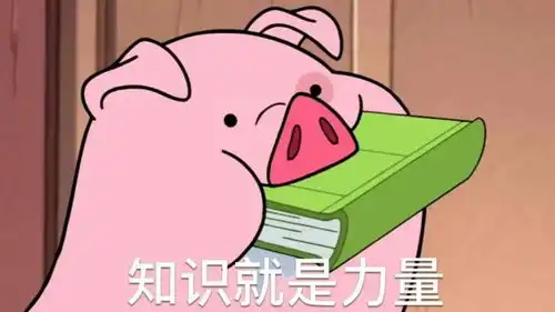  三十而已里的学区房困境,全世界都有