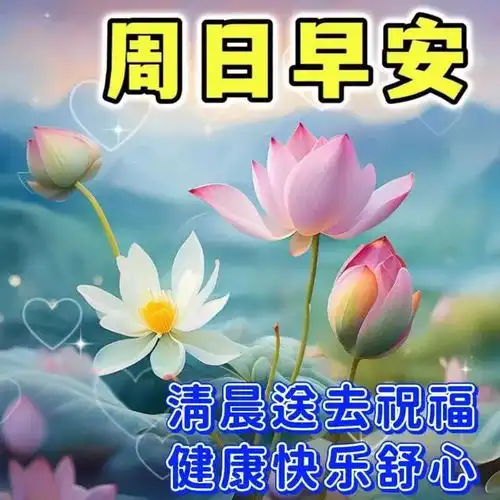  2024年6月23日农历五月十八祝福图片星期日最新问候美图周末愉快