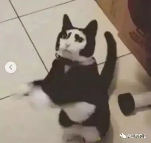  在洗浴中心拍了张照片发朋友圈,然后