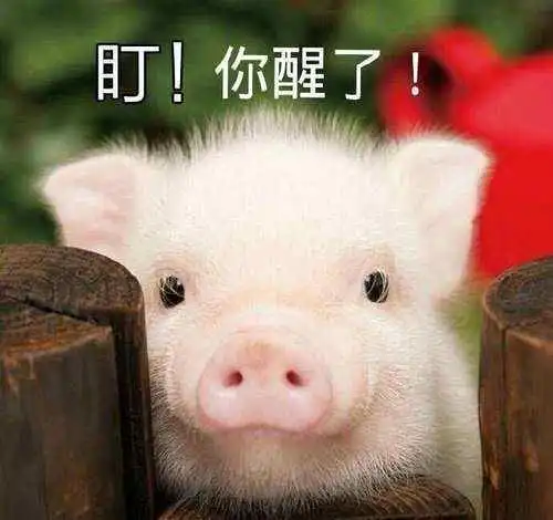  幽默笑话手机店看好一款手机,跟美女店员砍价半天无果