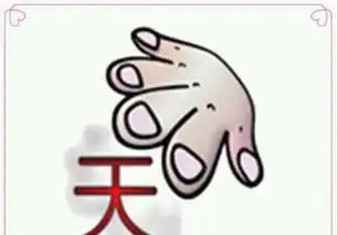  妹子,你在玻璃上完倒立,我真的好佩服