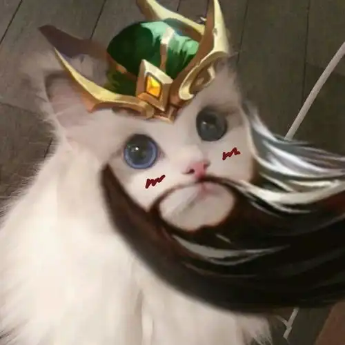 王者荣耀猫咪头像蒙恬
