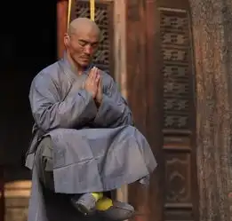  豆腐上劈砖少林释永生我会铁砂掌铁头功金刚捣锤罗汉拳鹰爪功