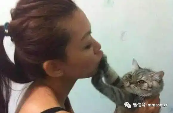  喵铲屎的,朕真的不是跟你很熟,你赶紧给朕走开