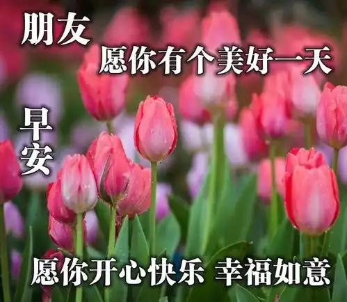 早上好问候语图片大全,最美早安祝福语唯美表情  早上好问候语图片大全,最美早安祝福语唯美表情