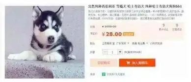  网友网上28块钱买一条哈士奇,收到货后笑喷了