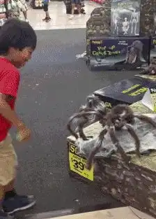 搞笑gif请大家欣赏节目,猛猪过江