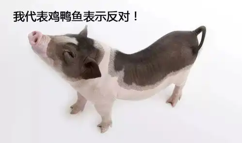 明天开工  明天开工