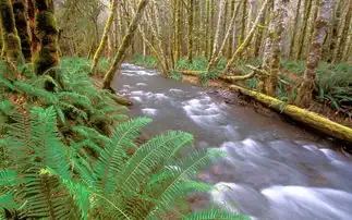 溪水河流高清桌面壁纸