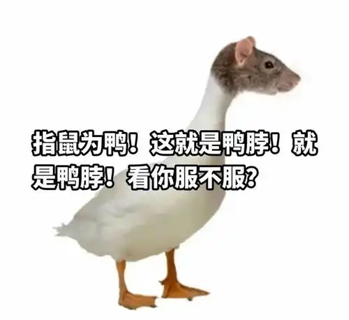  指鼠为鸭被联合国讽刺图片对比99就是鼠头,赶快纠正吧