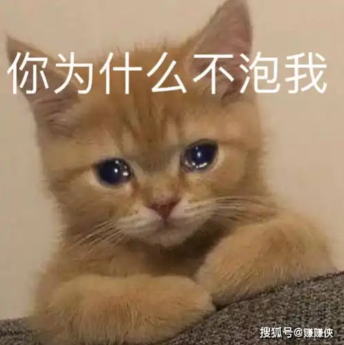  搞笑表情包图片偷听情话,你为什么不泡我,笑死我了