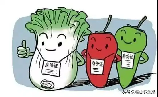  霍山2019年实施33项民生工程新增6项,退出5项...