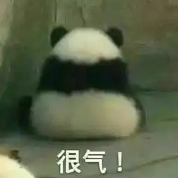 没你不行熊猫头表情包童