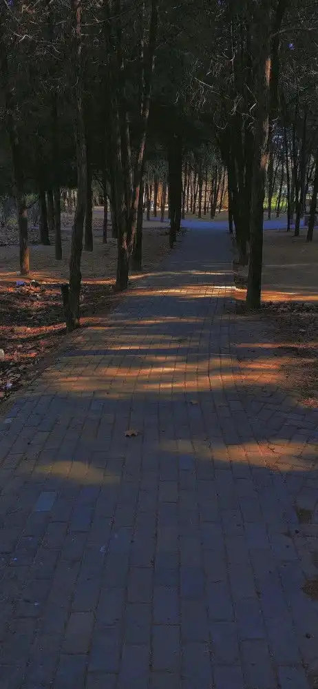  有趣的微信状态文案背景图