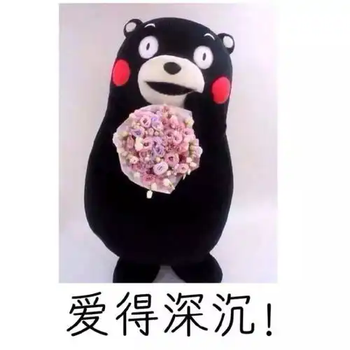  感恩节宿管阿姨,给您我的小fafa