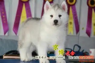  北京酷易搜