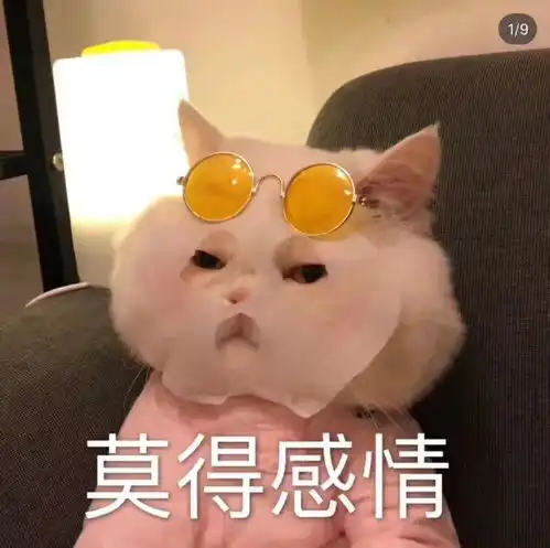  表情包妈呀,工资到账