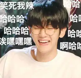  exo边伯贤带字搞笑表情包大全略略略