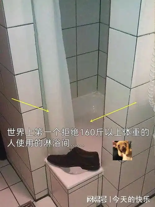  搞笑图片第538期上厕所终于不看手机了
