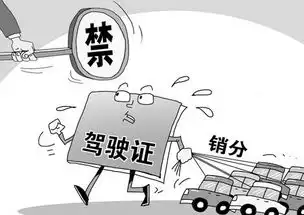  捣毁了一个买卖交通违法记分的地下市场