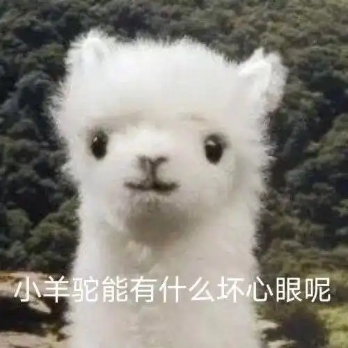  适合沙雕本雕的有趣句子
