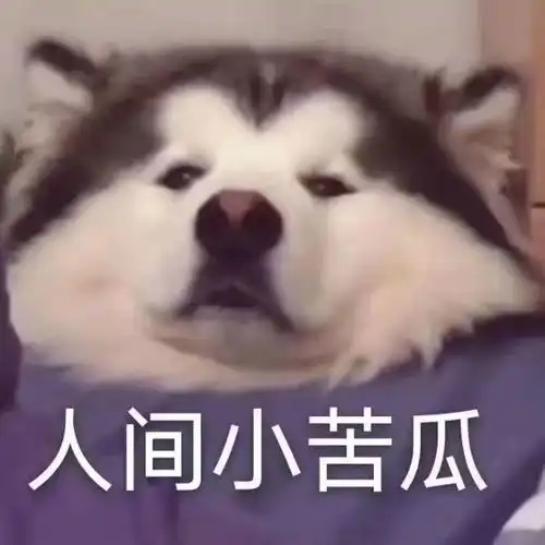 聊天必备的可爱搞笑沙雕表情包