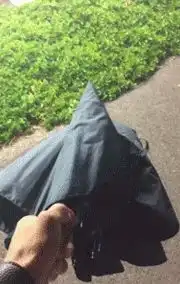  搞笑图片幽默段子笑话哥们,你吃了这么多薯条就为了玩这个