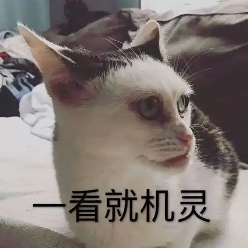  如果有人这样夸你,你可得长点心了